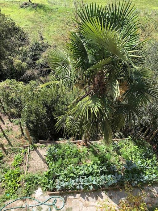 Ca' Cuore In Monferrato Serralunga di Crea Exteriér fotografie